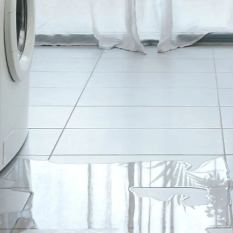 Appliance Leak Cleanup in Channelview, TX