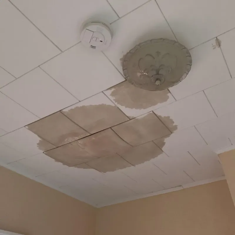 Ceiling Water Damage Repair in Channelview, TX